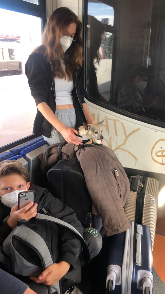 emigrating with teens